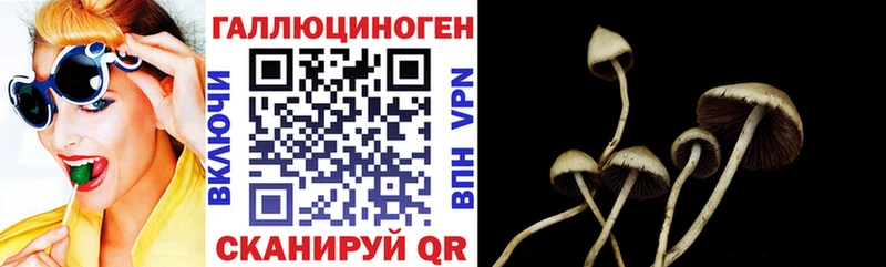 Галлюциногенные грибы прущие грибы Очёр